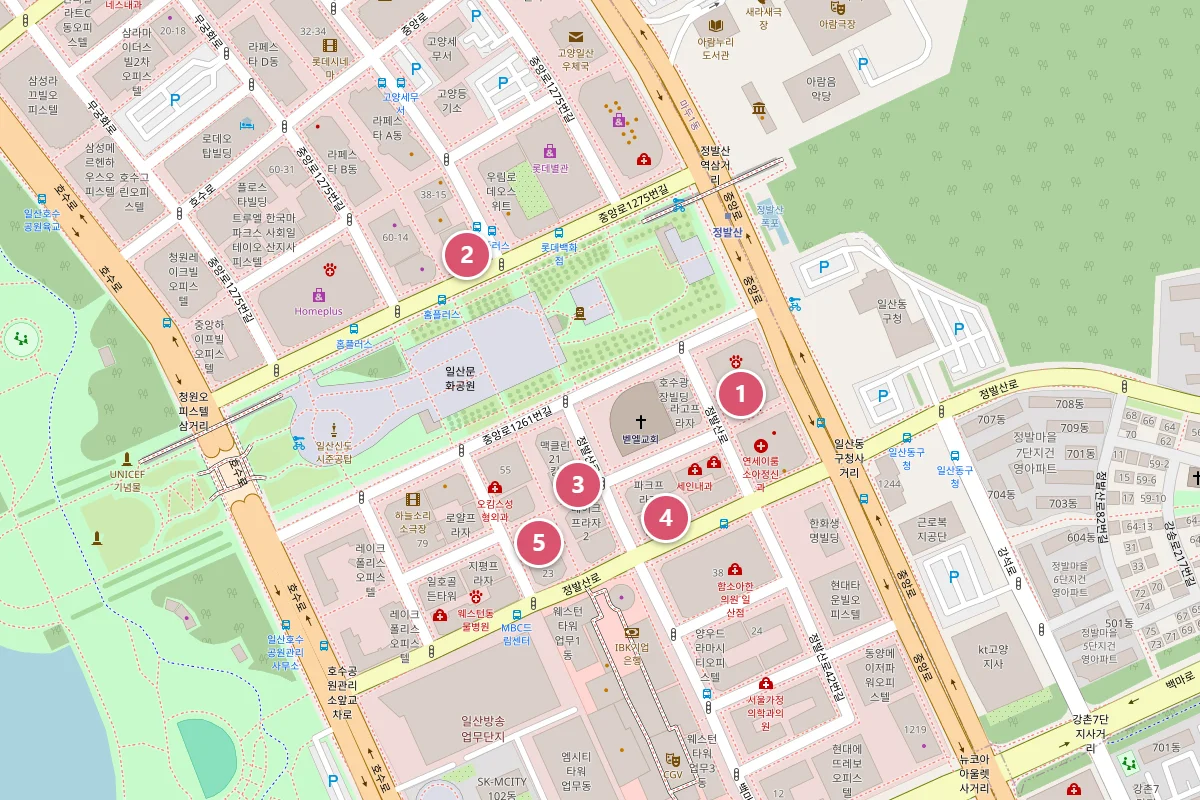 일산 울쎄라 추천 5곳 위치 지도, 정발산역 1번 출구 주변 장항동에 제너리스의원 일산, 유앤아이의원 일산점, VS라인의원 일산점, 밴스의원 일산, 사적인 아름다움 지유의원 일산점이 모여 있는 모습